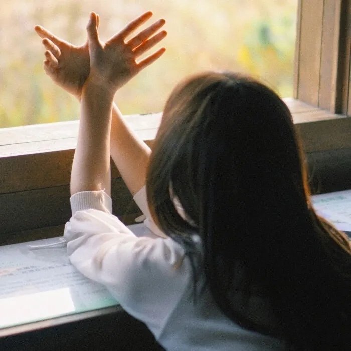 傻子龙婿第二部