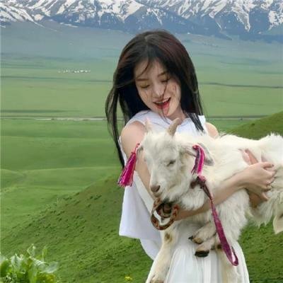 人生读档回到悲剧前夜