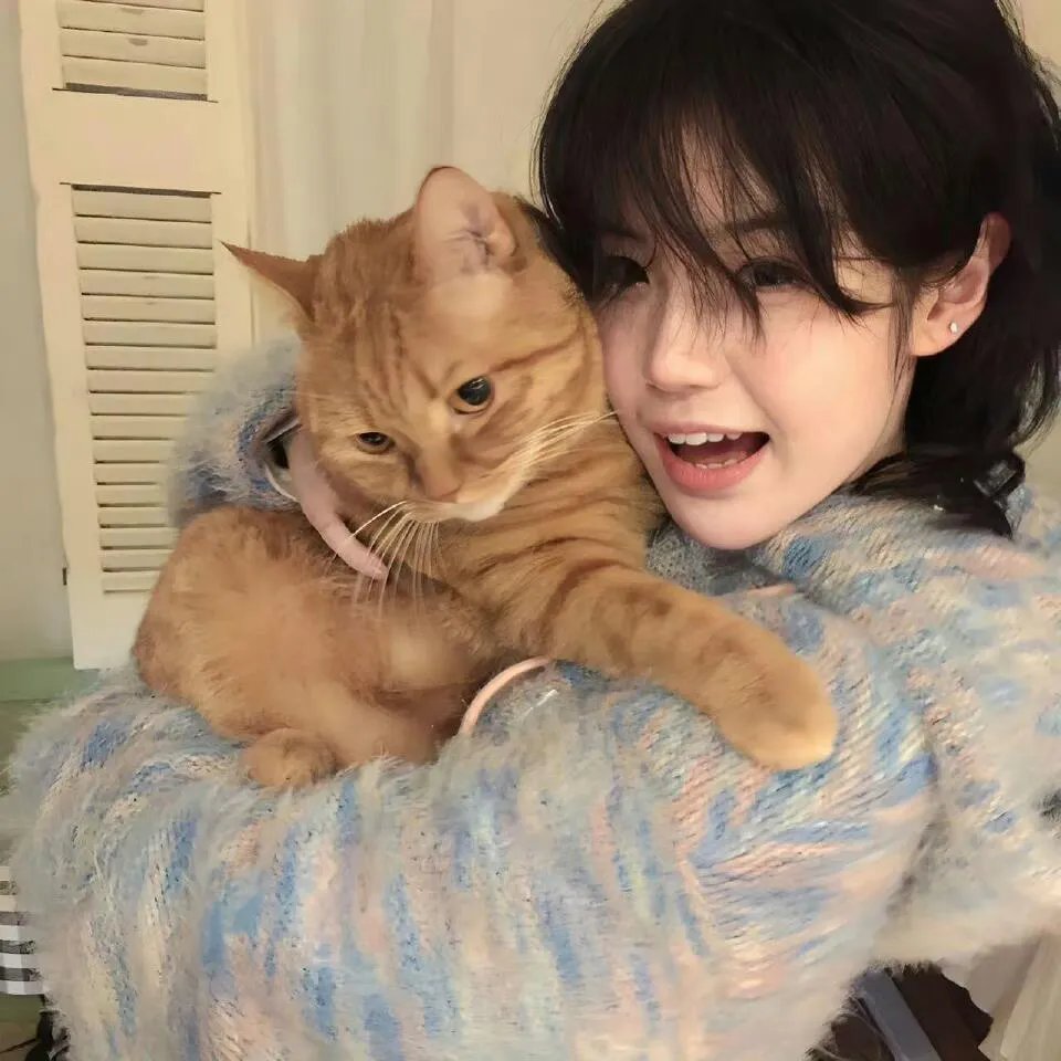 谁动了我的爱情